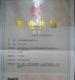 汉寿工商登记代理服务 专业、高效、便捷的创业助手